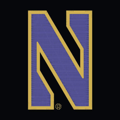 Northwestern University Wildcats Under Armour Renegade Adjustable Purple Hat with Stylized N Gothic Collection Design
