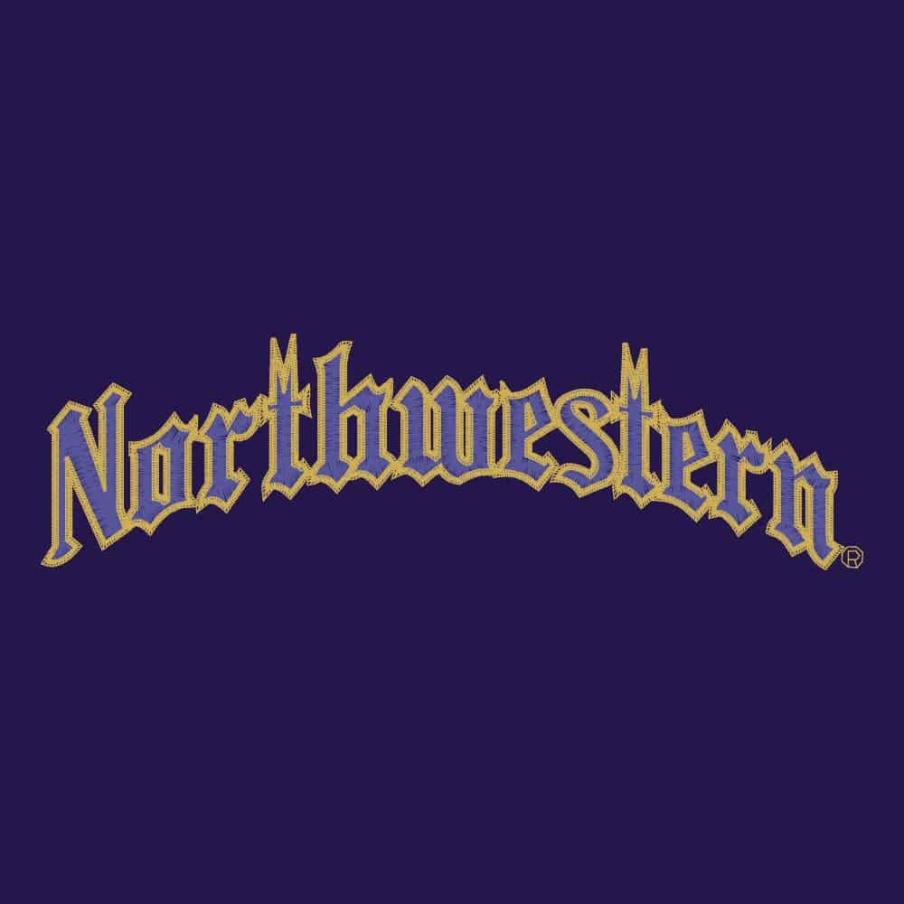 Northwestern University Wildcats Under Armour Renegade Adjustable Purple Hat with Gothic Collection Arched Northwestern Design