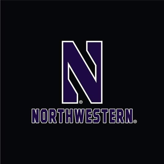 Northwestern University Wildcats Champion Men's Oxford Heather Field Day Fleece Pant With Stylized N over Northwestern Design