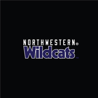 Northwestern University Wildcats Women’s Champion High Waist Band Black Short-2