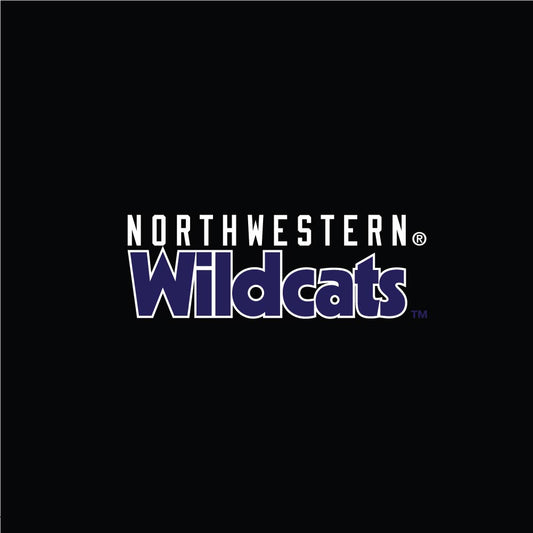 Northwestern University Wildcats Women’s Champion High Waist Band Black Short-2