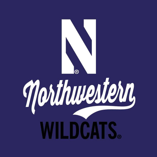 Northwestern University Wildcats Ladies Under Armour Grainy Tech Purple 1/2 Zip