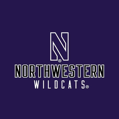 Northwestern University Wildcats Ladies Under Armour Textured Purple 1/2 Zip
