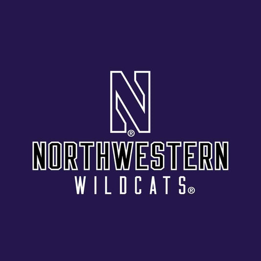 Northwestern University Wildcats Ladies Under Armour Textured Purple 1/2 Zip