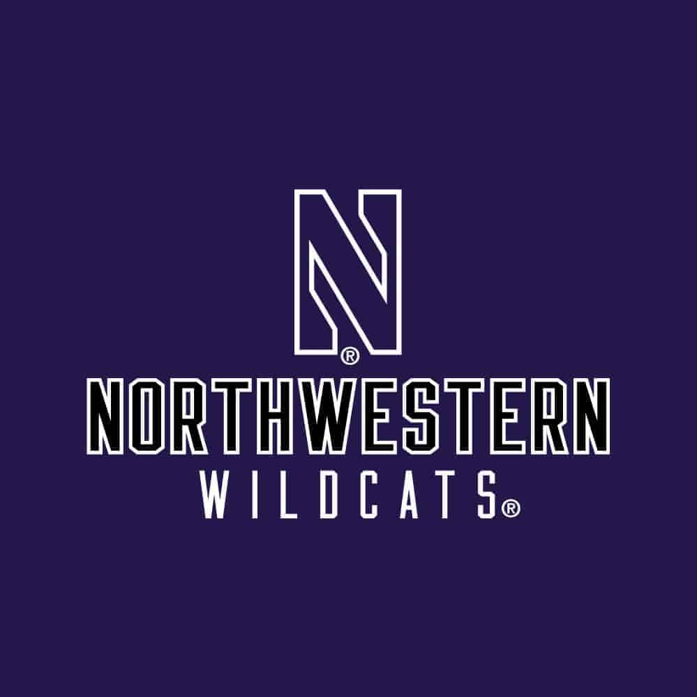Northwestern University Wildcats Ladies Under Armour Textured Purple 1/2 Zip