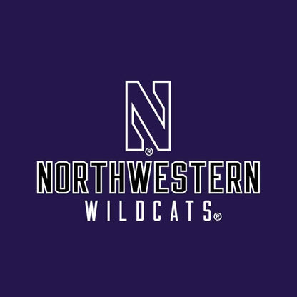 Northwestern University Wildcats Ladies Under Armour Textured Purple 1/2 Zip