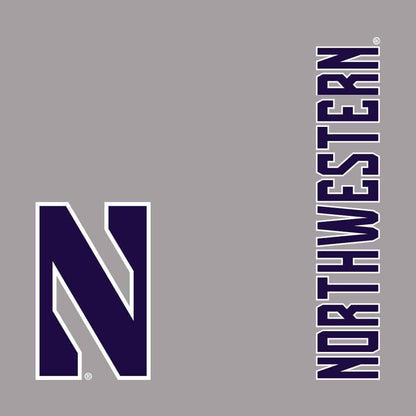 Northwestern University Wildcats Men's Under Armour Phantom Fleece Grey Short