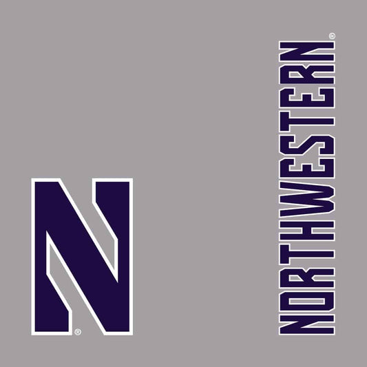 Northwestern University Wildcats Men's Under Armour Phantom Fleece Grey Short