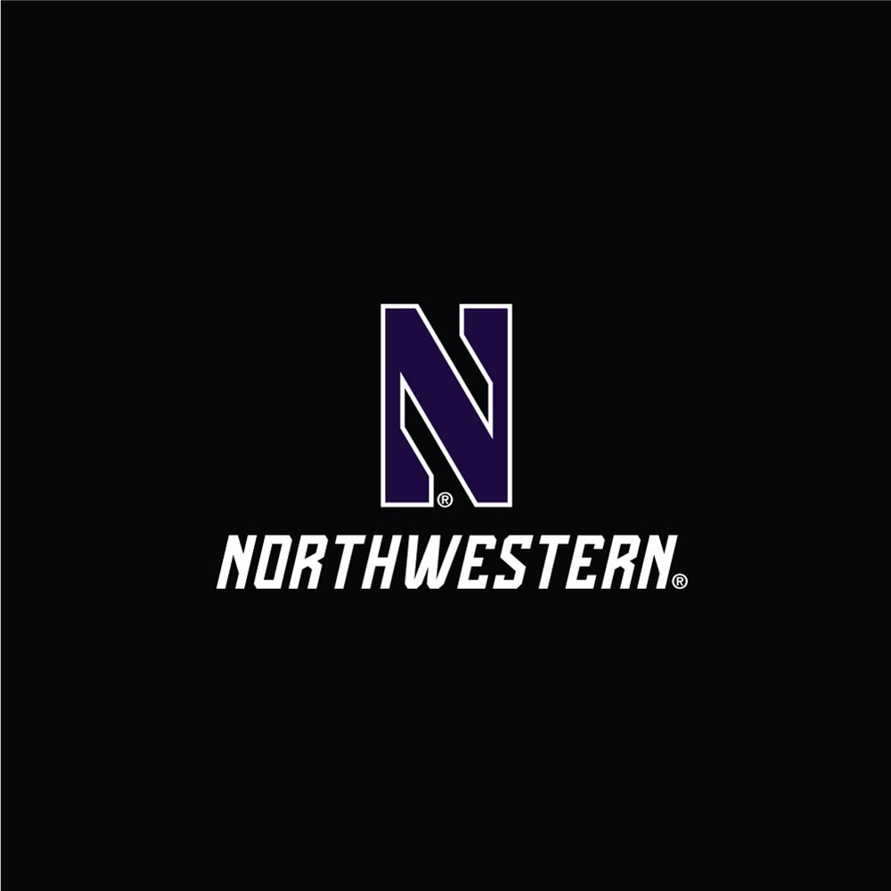 Northwestern University Wildcats Men's Under Armour Threadborne Ridge Fleece Black Jogger Pants