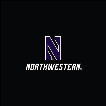 Northwestern University Wildcats Men's Under Armour Threadborne Ridge Fleece Black Jogger Pants