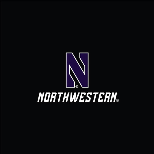 Northwestern University Wildcats Men's Under Armour Threadborne Ridge Fleece Black Jogger Pants