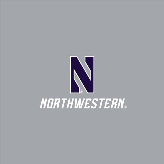 Northwestern University Wildcats Men's Under Armour Threadborne Ridge Fleece Grey Jogger Pants