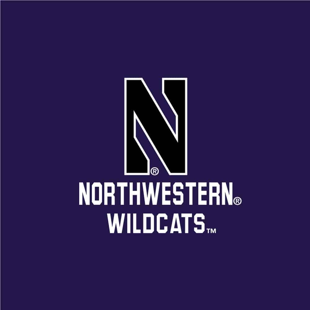 Northwestern University Wildcats Ladies Under Armour Coldgear Nodus Purple 1/2 Zip