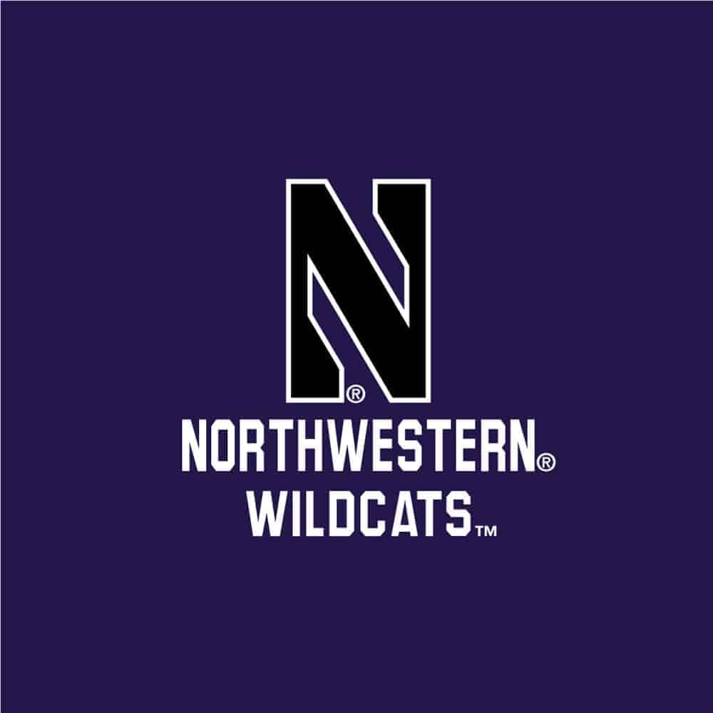 Northwestern University Wildcats Ladies Under Armour Coldgear Nodus Purple 1/2 Zip
