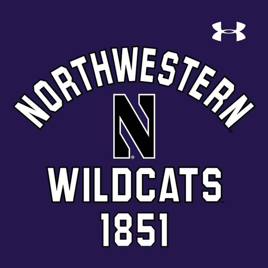 Northwestern University Wildcats Ladies Under Armour Purple Waffle Hood