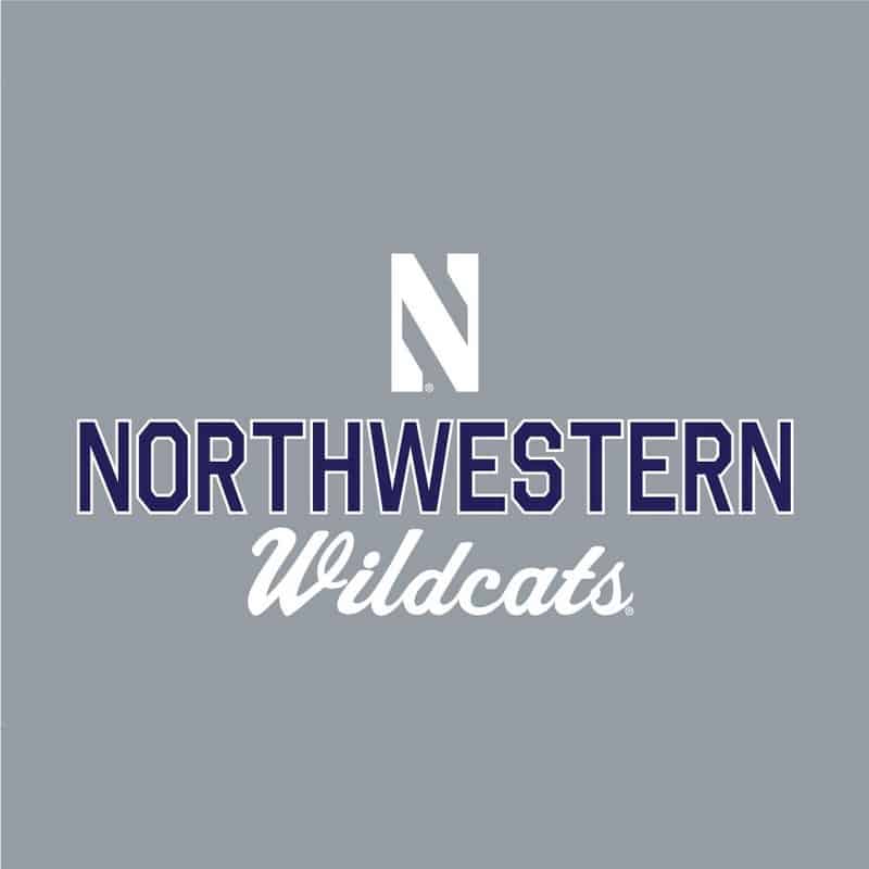Northwestern University Wildcats Ladies Under Armour Steel Heather / Graphite Training Camp Performance Cotton Short Sleeve Tee