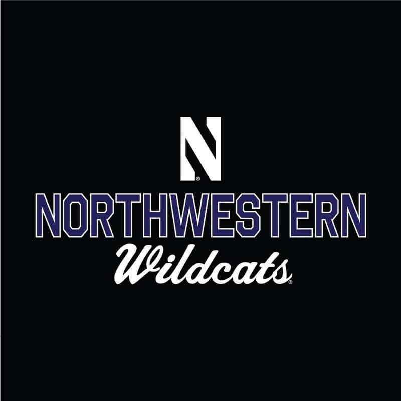 Northwestern University Wildcats Ladies Under Armour Black Training Camp Performance Cotton Short Sleeve Tee -2