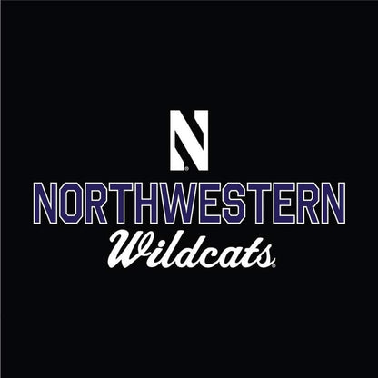 Northwestern University Wildcats Ladies Under Armour Black Training Camp Performance Cotton Short Sleeve Tee -2