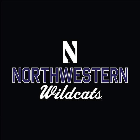 Northwestern University Wildcats Ladies Under Armour Black Training Camp Performance Cotton Short Sleeve Tee -2