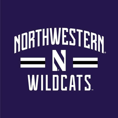 Northwestern University Wildcats Ladies Under Armour Purple / Grey Training Camp Tie Hood Tee Shirt-2