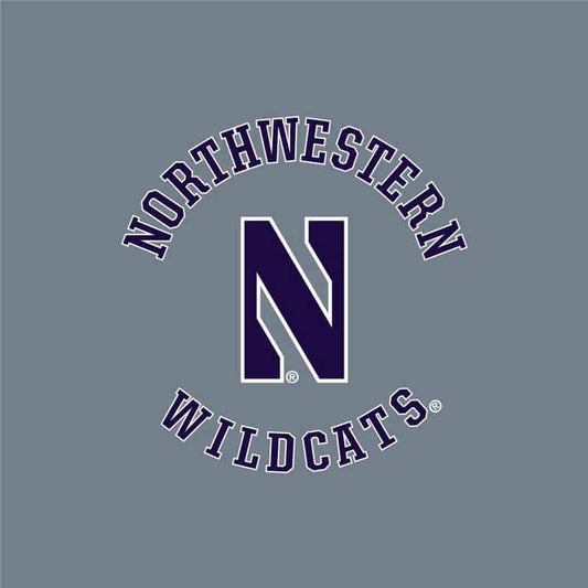 Northwestern University Wildcats Men's Under Armour True Grey Heather Armour Fleece Pants-2