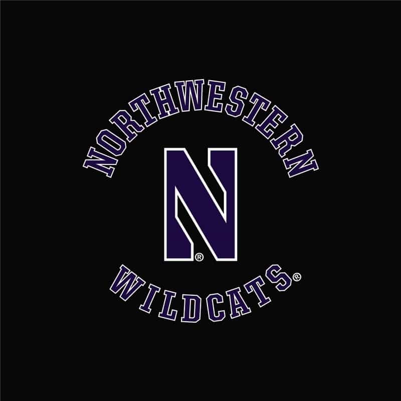 Northwestern University Wildcats Men's Under Armour Black Armour Fleece Pants-2