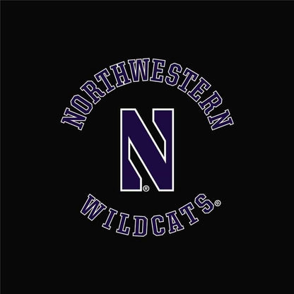 Northwestern University Wildcats Men's Under Armour Black Armour Fleece Pants-2