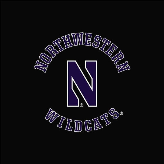 Northwestern University Wildcats Men's Under Armour Black Armour Fleece Pants-2