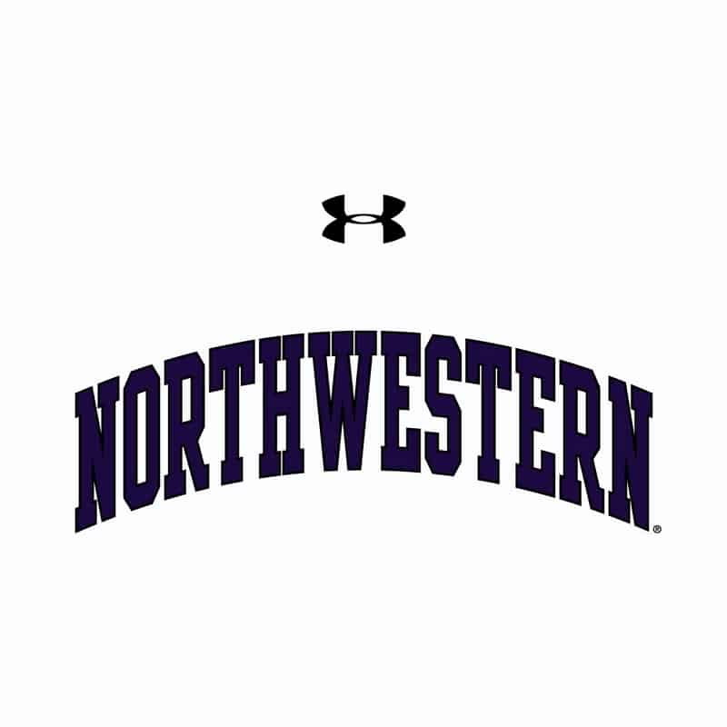 Northwestern University Wildcats Ladies Under Armour White Performance Cotton Short Sleeve Tee With Northwestern Arch Design-2