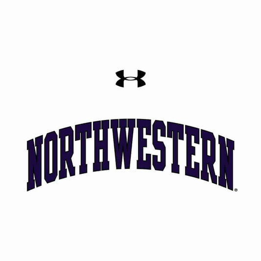 Northwestern University Wildcats Ladies Under Armour White Performance Cotton Short Sleeve Tee With Northwestern Arch Design-2
