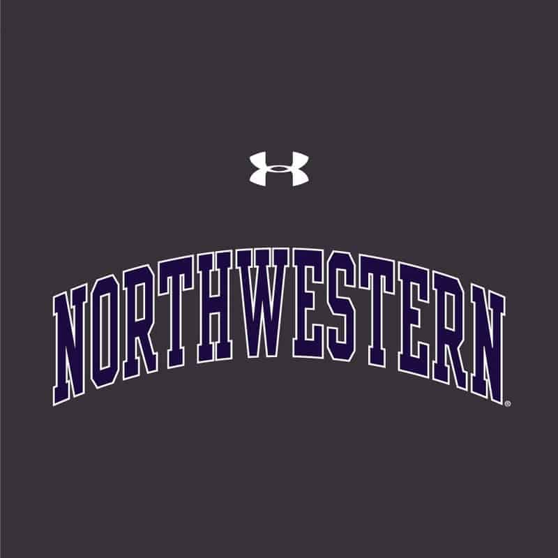 Northwestern University Wildcats Ladies Under Armour Carbon Heather Performance Cotton Short Sleeve Tee With Northwestern Arch Design -2