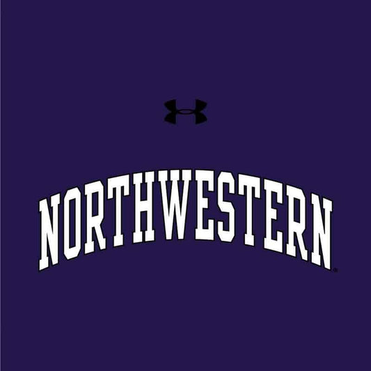 Northwestern University Wildcats Ladies Under Armour Purple Performance Cotton Short Sleeve Tee With Northwestern Arch Design-2