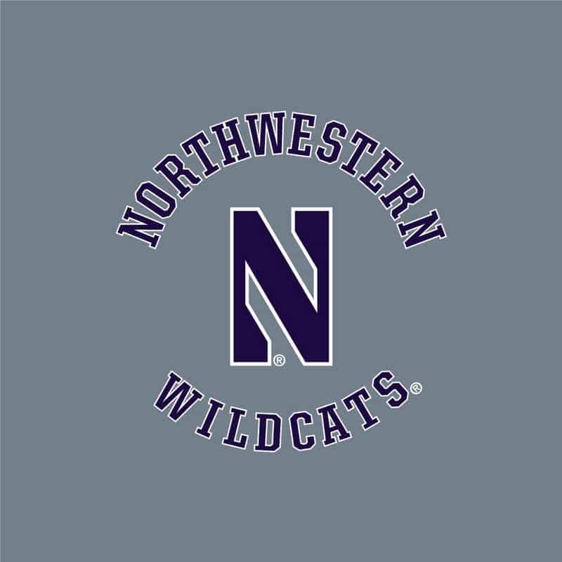 Northwestern University Wildcats Ladies Under Armour True Grey Heather Play Up Pants-2