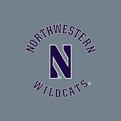Northwestern University Wildcats Ladies Under Armour True Grey Heather Play Up Pants-2