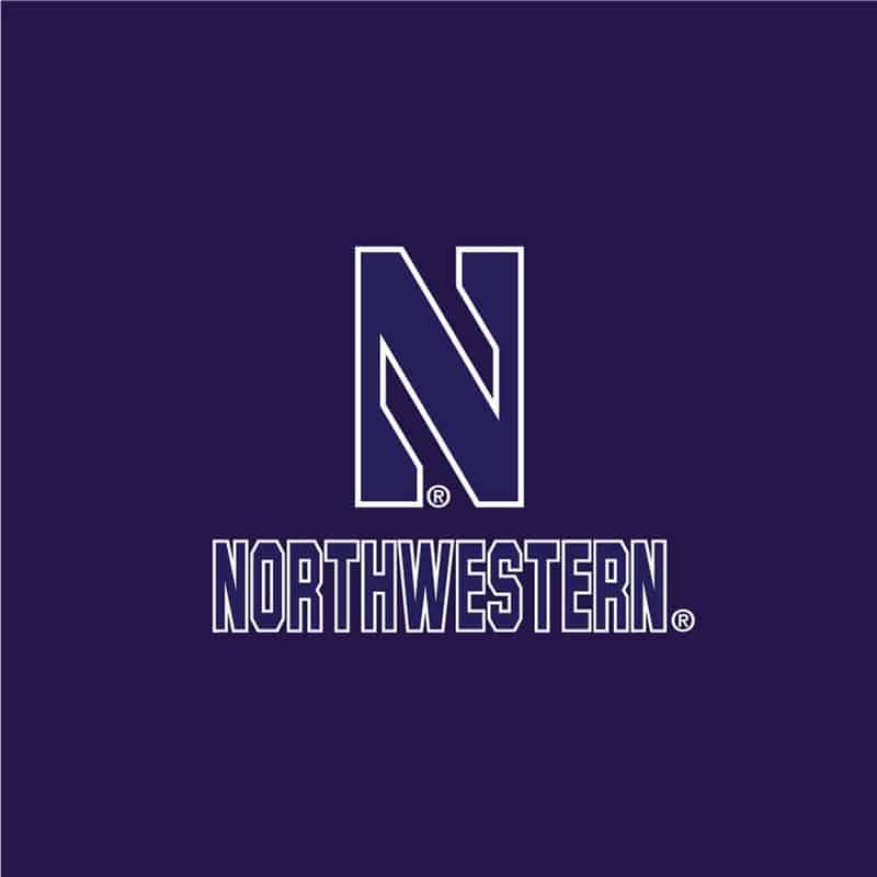 Northwestern University Wildcats Men’s Under Armour Purple/Graphite Double Knit 1/4 Snap With Stylized N Design -2