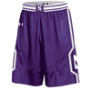 Northwestern University Wildcats Under Armour Purple Adult Replica Basketball Shorts