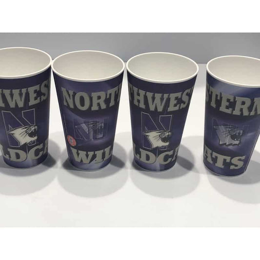 Northwestern University Wildcats 20 OZ 3D Multi Image & Changing Image Tumbler