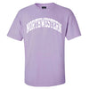 Northwestern University Wildcats Men's MV Lilac-Lavender Classic Tee with One Color Arch Design