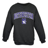 Campus,Gear,chicago,sports,Northwestern,Wildcats,NW,Willie,university,NU,Youth-Crewneck-Sweatshirt--with-Tackle-Twill-Sewn-on-Lettering,Sweatshirts,Crewneck