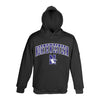 Northwestern University Wildcats Youth Black Hooded Sweatshirt With Sewn Arched Northwestern Over N-Cat Design
