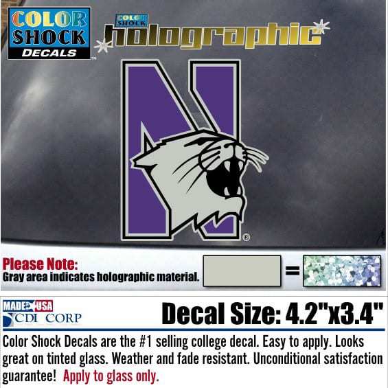 Northwestern University Wildcats Holographic N-cat Design Outside Application Decal