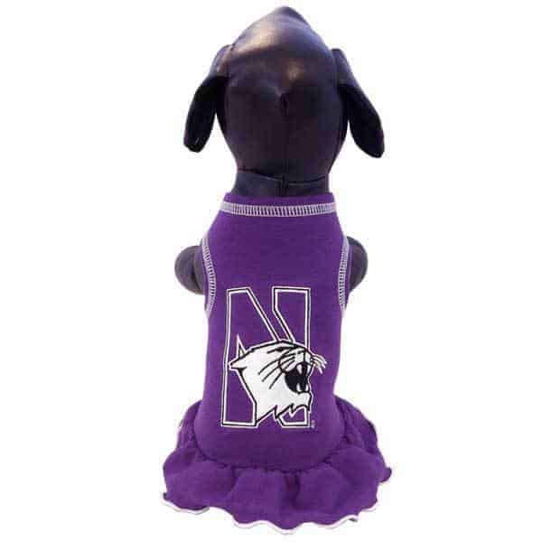 Northwestern University Wildcats Cheerleader Dog Dress