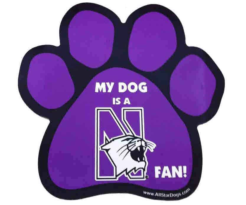 Northwestern University Wildcats Pow Magnet