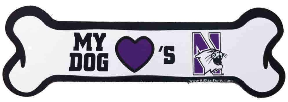 Northwestern University Wildcats Bone Magnet