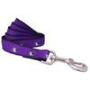 Northwestern University Wildcats Dog Leash 5/8" Thick