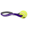 Northwestern University Wildcats Pet Play Ball