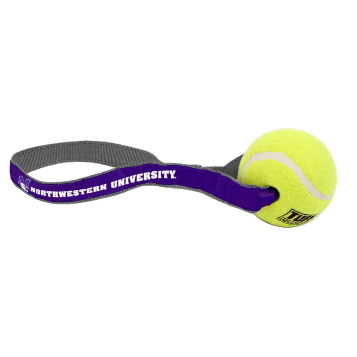 Northwestern University Wildcats Pet Play Ball