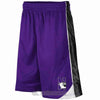 Northwestern Wildcats Colosseum Youth Purple Vector Short