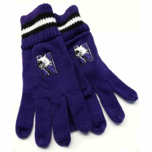 Northwestern University Wildcats Adult PurpleKnit Gloves