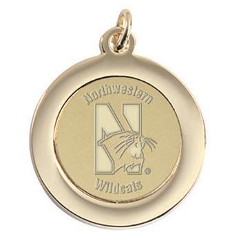 Northwestern Wildcats Mascot Design Gold Medallion Pendant Charm